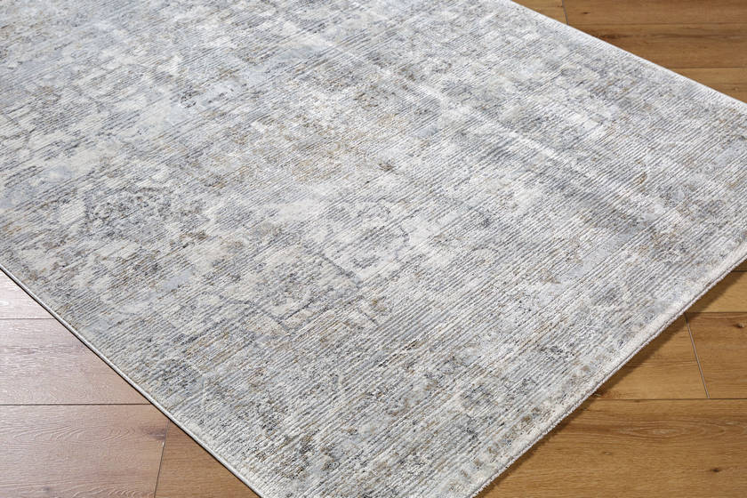 Zerrick Traditional Light Gray Area Rug-1