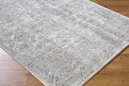 Zerrick Traditional Light Gray Area Rug-1
