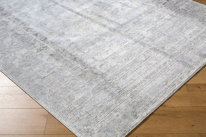 Zerrick Traditional Light Gray Area Rug-3