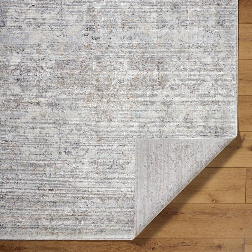 Zerrick Traditional Light Gray Area Rug-4