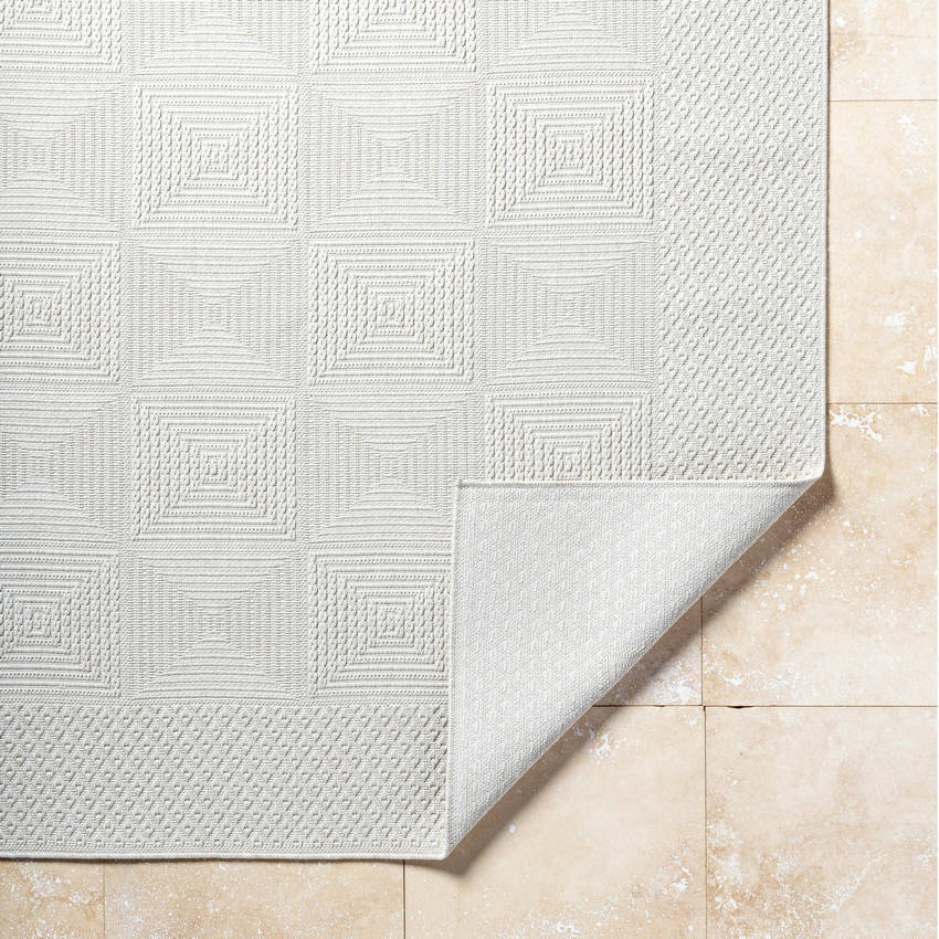 Christiaan Cottage Light Gray Area Rug-2