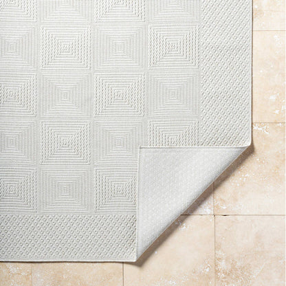 Christiaan Cottage Light Gray Area Rug-2