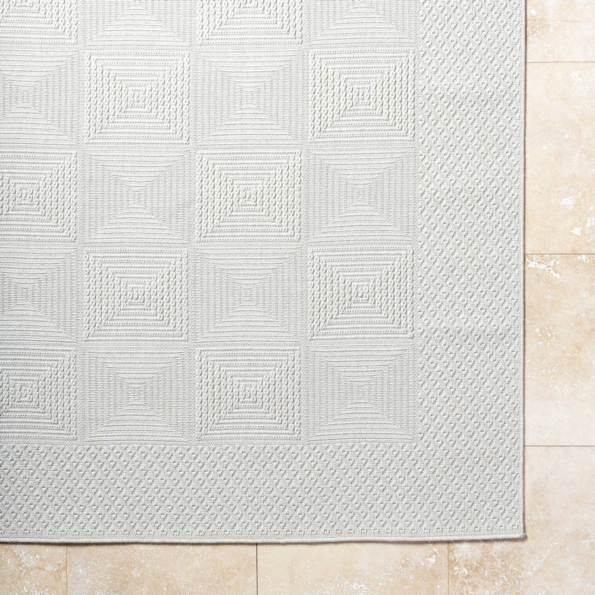 Christiaan Cottage Light Gray Area Rug-4