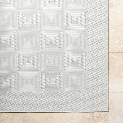 Christiaan Cottage Light Gray Area Rug-4
