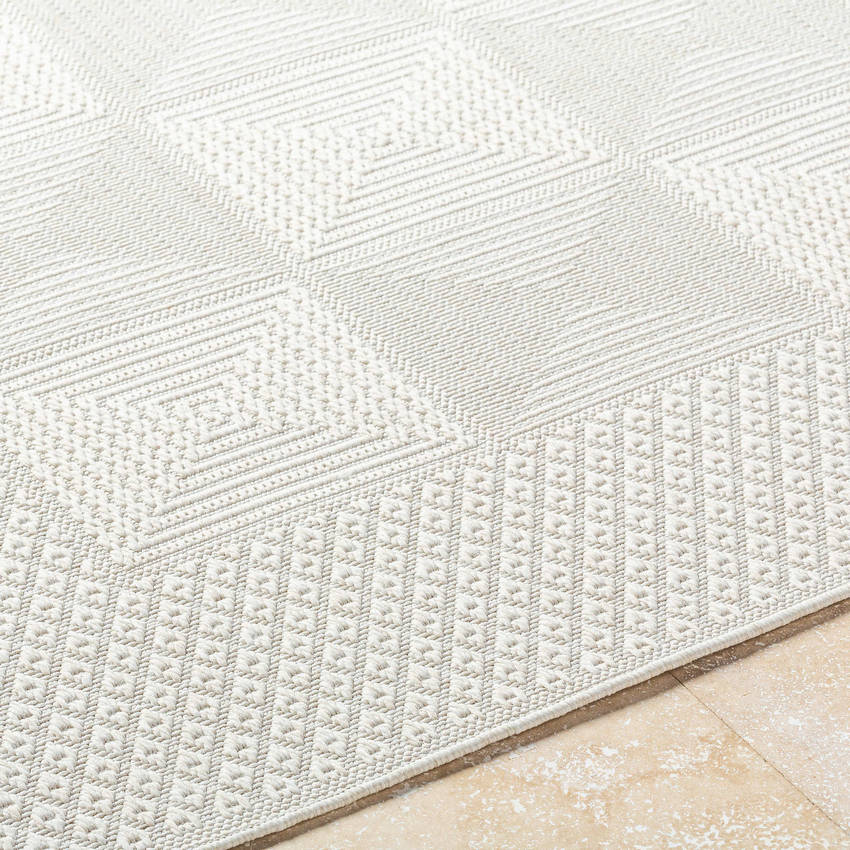 Christiaan Cottage Light Gray Area Rug-3