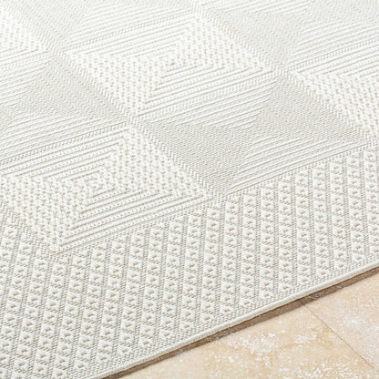 Christiaan Cottage Light Gray Area Rug-3